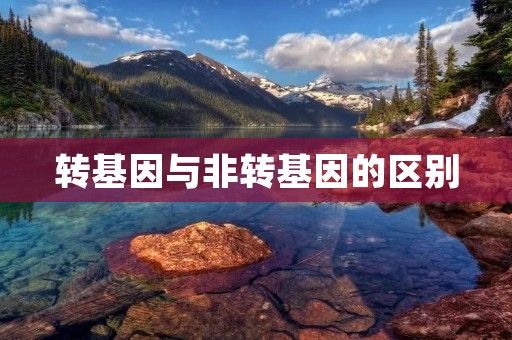 转基因与非转基因的区别