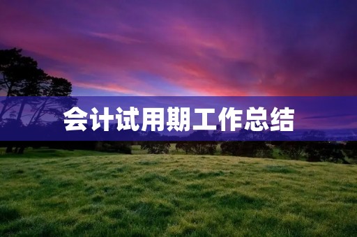 会计试用期工作总结