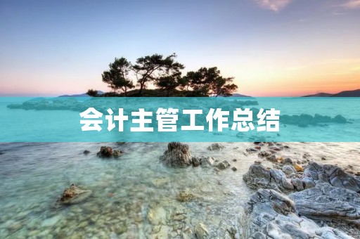 会计主管工作总结