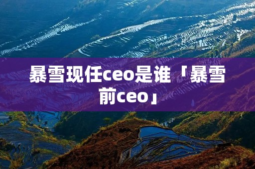 暴雪现任ceo是谁「暴雪前ceo」