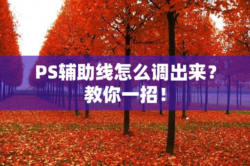 PS辅助线怎么调出来？教你一招！