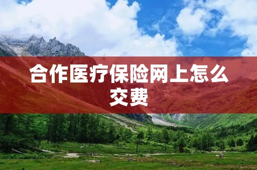 合作医疗保险网上怎么交费