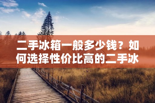 二手冰箱一般多少钱？如何选择性价比高的二手冰箱？