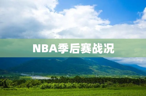 NBA季后赛战况:西部赛区半决赛正酣 NBA季后赛战况:西部赛区半决赛正酣