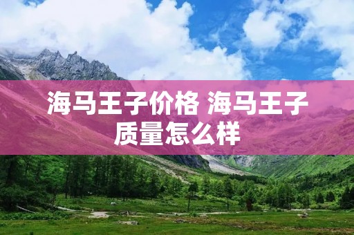 海马王子价格 海马王子质量怎么样