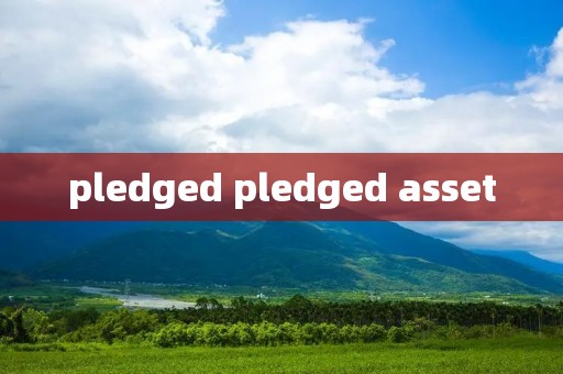 pledged pledged asset