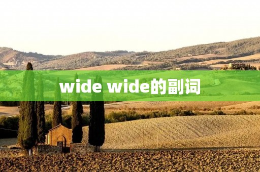 wide wide的副词