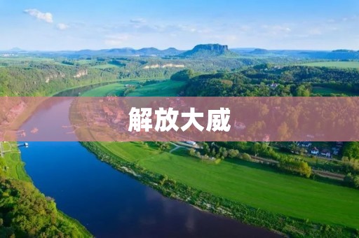 解放大威:颠覆性的新一代营销策略 解放大威:颠覆性的新一代营销策略