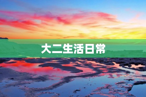 大二生活日常：平凡却不失精彩