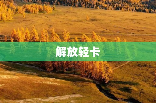 解放轻卡：高效、稳定的商用载重利器