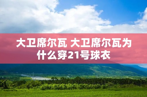 大卫席尔瓦 大卫席尔瓦为什么穿21号球衣