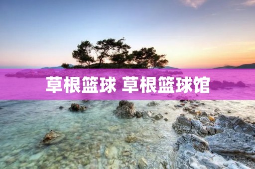 草根篮球 草根篮球馆