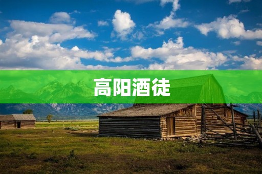 高阳酒徒:一个饮酒文化的探究 高阳酒徒:一个饮酒文化的探究