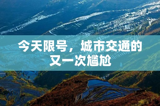 今天限号，城市交通的又一次尴尬