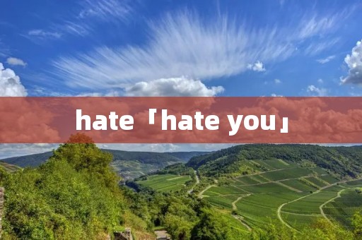 hate「hate you」