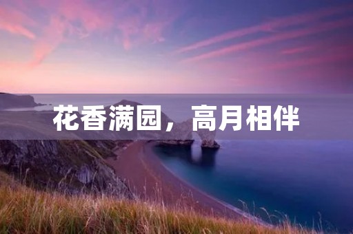 花香满园,高月相伴 花香满园,高月相伴