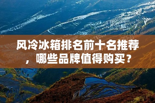 风冷冰箱排名前十名推荐,哪些品牌值得购买? 风冷冰箱排名前十名推荐,哪些品牌值得购买?