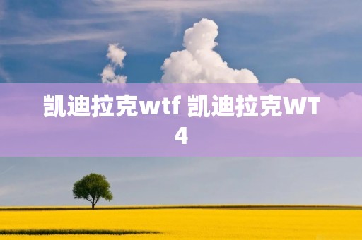 凯迪拉克wtf 凯迪拉克WT4