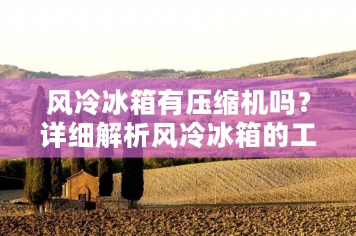 风冷冰箱有压缩机吗？详细解析风冷冰箱的工作原理