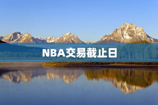 NBA交易截止日：球队们的最后冲刺