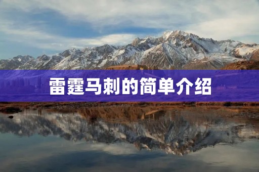 雷霆马刺的简单介绍