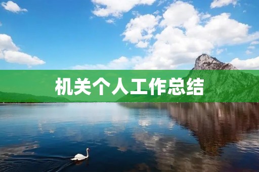 机关个人工作总结:我在工作中的成长与收获
