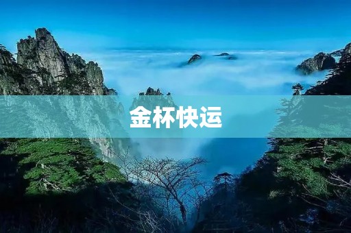 金杯快运:专业、高效、安全的物流服务 金杯快运:专业、高效、安全的物流服务