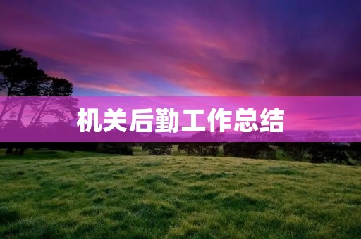 机关后勤工作总结
