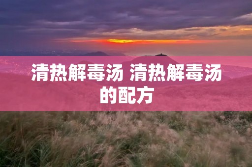 清热解毒汤 清热解毒汤的配方