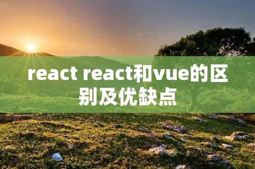 react react和vue的区别及优缺点