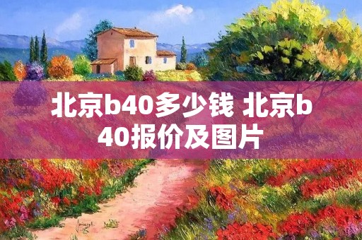 北京b40多少钱 北京b40报价及图片
