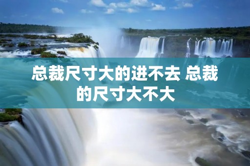 总裁尺寸大的进不去 总裁的尺寸大不大
