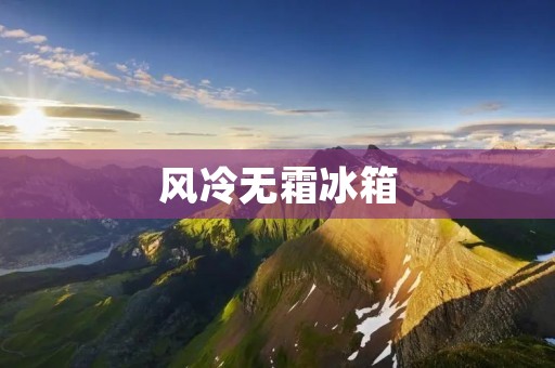 风冷无霜冰箱:从实用性、健康性和环保性三方面解析 风冷无霜冰箱:从实用性、健康性和环保性三方面解析