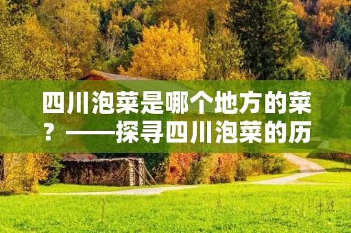 四川泡菜是哪个地方的菜？——探寻四川泡菜的历史和文化