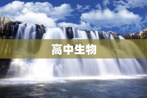 高中生物：人类的生殖系统