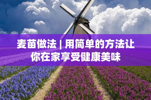 麦苗做法 | 用简单的方法让你在家享受健康美味