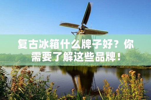 复古冰箱什么牌子好？你需要了解这些品牌！