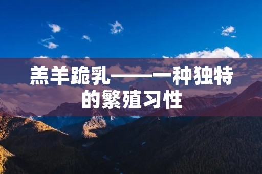 羔羊跪乳——一种独特的繁殖习性