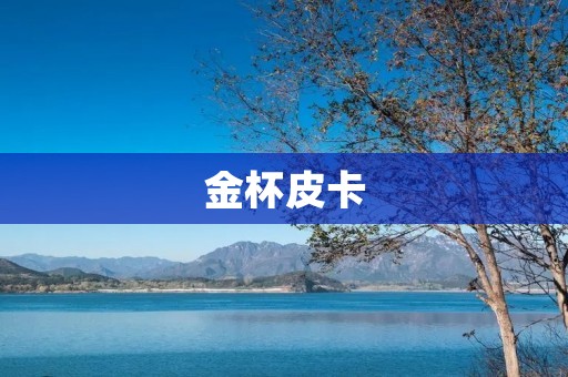 金杯皮卡:中国制造的实力之作 金杯皮卡:中国制造的实力之作