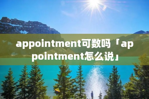 appointment可数吗「appointment怎么说」