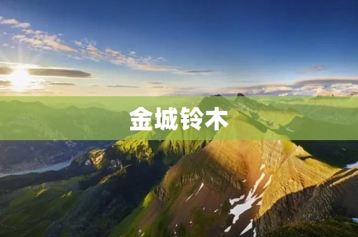 金城铃木:打造高品质汽车的专业制造商 金城铃木:打造高品质汽车的专业制造商