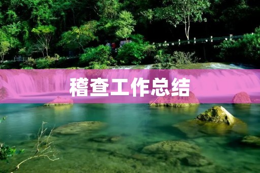 稽查工作总结:提高效率、加强监管