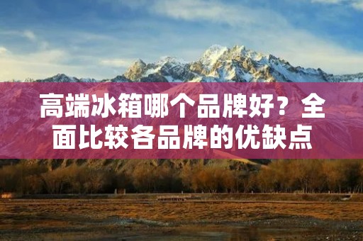 高端冰箱哪个品牌好?全面比较各品牌的优缺点