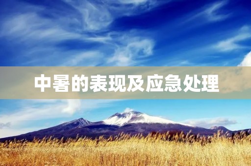 中暑的表现及应急处理 中暑的表现及应急处理