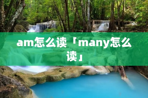 am怎么读「many怎么读」