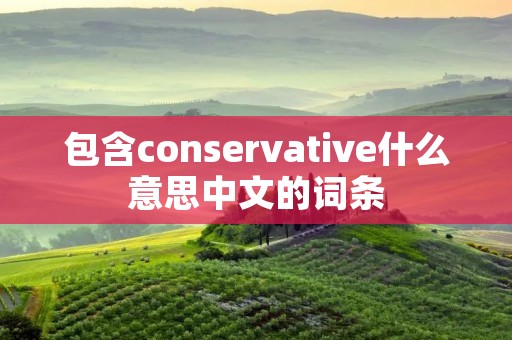 包含conservative什么意思中文的词条 包含conservative什么意思中文的词条