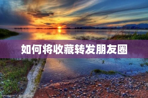 如何将收藏转发朋友圈 如何将收藏转发朋友圈