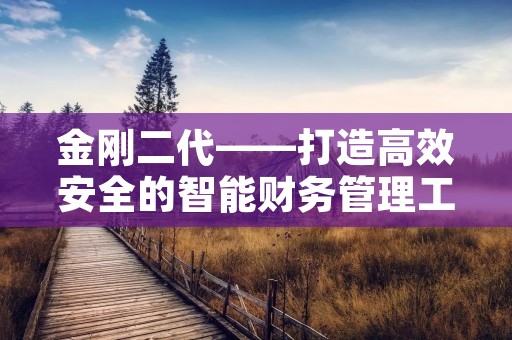 金刚二代——打造高效安全的智能财务管理工具
