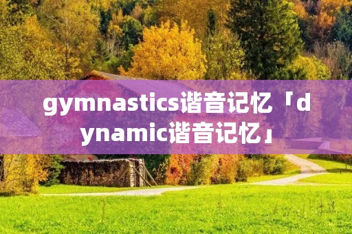 gymnastics谐音记忆「dynamic谐音记忆」
