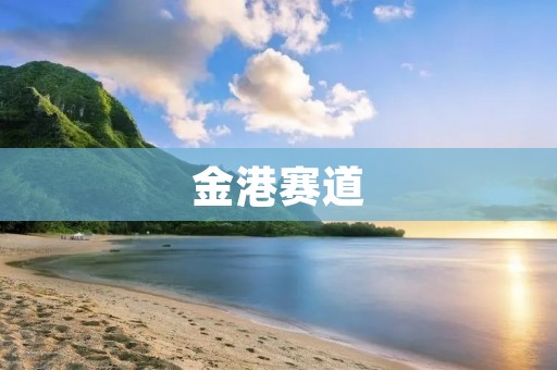 金港赛道：赛车迷的天堂